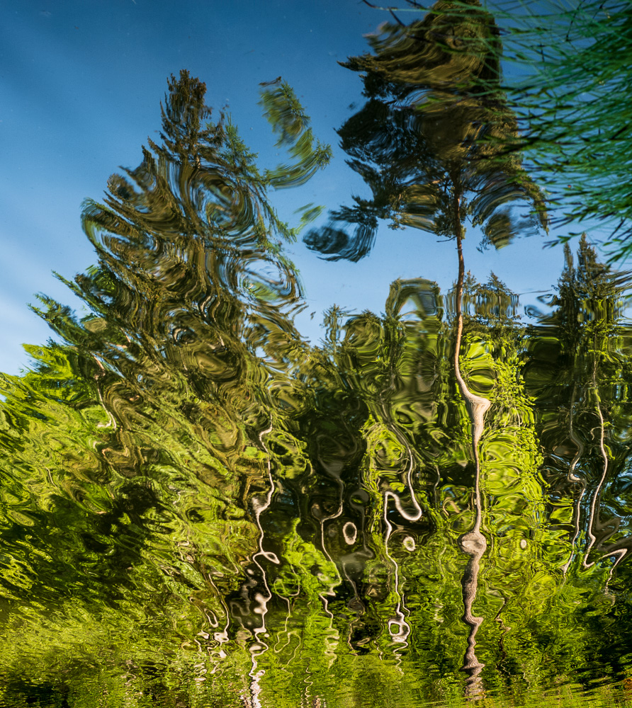 Platz 9 Jüergen Bernd